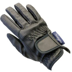 Gloves Huntington Premier Show Black