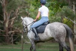 Limited Edition QJ Riding Wear Hannah High Waisted Breech 11 Limited Edition QJ Riding Wear Hannah High Waisted Breech -Ride Strong Shop hannahpetrolback