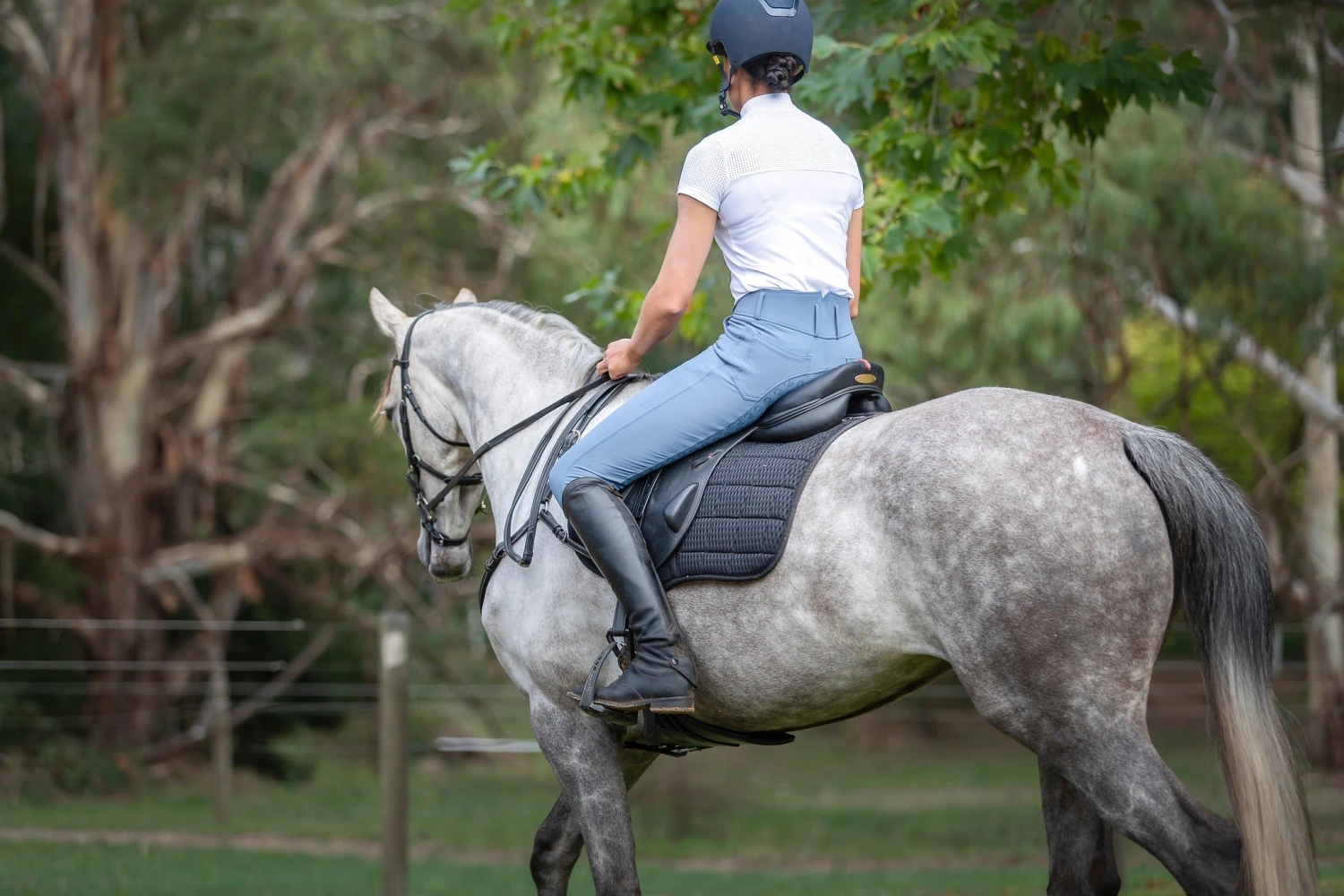 Limited Edition QJ Riding Wear Hannah High Waisted Breech 7 Limited Edition QJ Riding Wear Hannah High Waisted Breech - Image 5