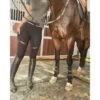 Black HLH Equestrian Apparel Comfort 1st Schooling Tights 1 Black HLH Equestrian Apparel Comfort 1st Schooling Tights -Ride Strong Shop hlh equestrian apparel comfort 1st schooling tights in black southern sport horses