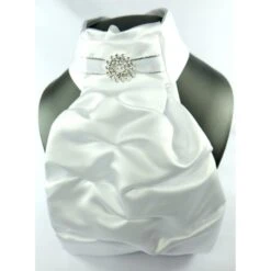 Show Quest Regency V Stock